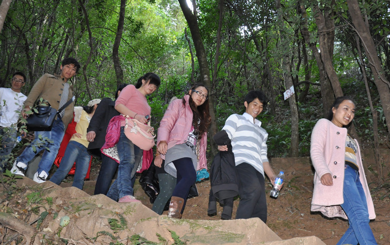 青龙峡位于昆明西郊安宁市青龙镇滇中生态大峡谷中，景区有保存较为完好的植物群落，遮天蔽日的参天古木；有浪漫山花，野果飘香，还有清秀宁静的田园风光。河谷沿岸古柳成荫，几十里的云南樱花大道成为昆明郊游靓丽的风景线。景区中溪水潺潺，千姿百态、千奇百怪的蔓藤风光随处可见，号称“都市身旁的小九寨。